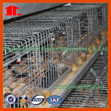 Jinfeng Chicken Cage für Pullet